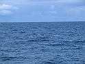 Obraz 468